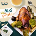 نصف بطة + أرز خلطة + محاشي + شوربة + سلطات