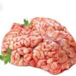 مخ